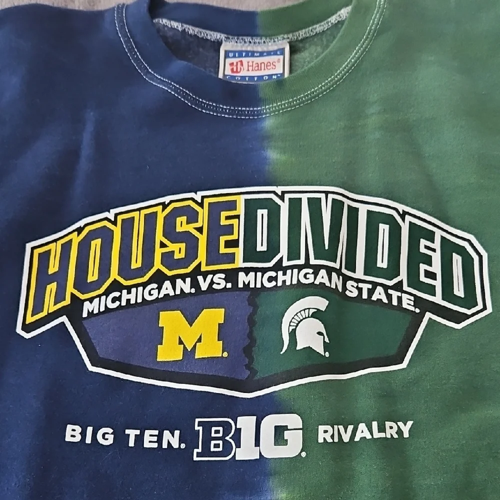 Hanes House Divided Men's Crewneck Sweater - Blue and Green - Picture 3 of 9